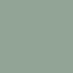 Sea Coral